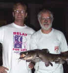 js&cat.jpg (55019 bytes)